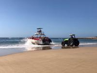 Walsafari, Plettenberg Bay