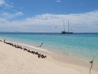 Michaelmas Cay