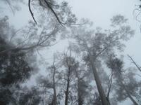 Blue Mountains