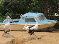 Featherdale Wildlife Park