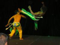 Show „Ginga Tropical