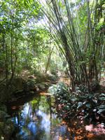 Tijuca-Nationalpark