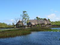 Everglades