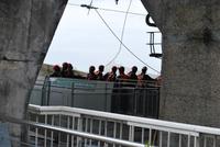 Bauarbeiter auf dem Zuckerhut