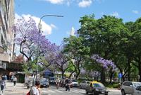Buenos Aires - Obelisk