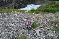 Salto Grande - Nationalpark Torres del Paine - Chile
