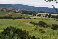 Matetic Weingut - Chile
