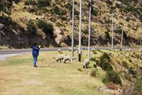 Titicaca-See - Peru
