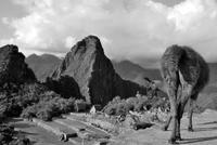 Machu Pichu - Peru