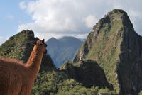 Machu Pichu - Peru