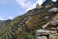 Machu Pichu - Peru
