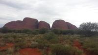 Besuch der Olgas in Australien