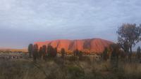 Sonnenaufgang am Ayers Rock