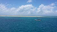 Great Barier Reef Australien