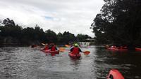 Kajak Tour Bay of Islands