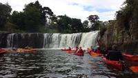 Kajak Tour Bay of Islands