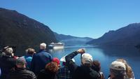 Einfahrt in die Fiordlandschaft in Neuseeland