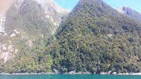 Einfahrt in die Fiordlandschaft in Neuseeland