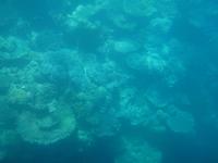 Great Barrier Reef Australien