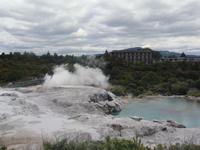 Te Puia Nationalpark - Neuseeland
