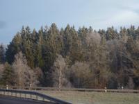 Landschaft Bayerischer Wald