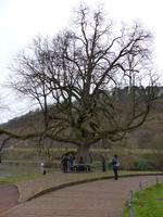 an der Entstehung der Weser