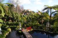 Im Tropischen Garten Monte Palace in Funchal