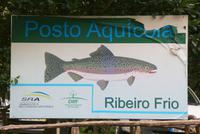 Forellenzucht in Ribeiro Frio
