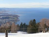Bregenz Blick zum Bodensee