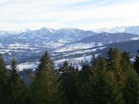 Blick vom Pfänder