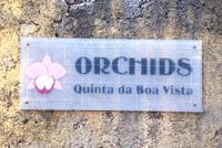 Im Orchideengarten Quinta da Boa Vista
