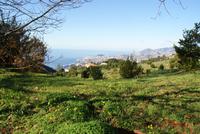 In Palheiros Garden