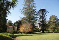 In Palheiros Garden