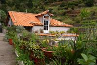 Levadawanderung am Neujahrstag von Marocos bis Machico