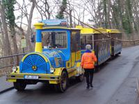 . Mit der Bimmel fuhren wir zum Schloß Wernigerode