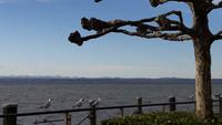Bodensee