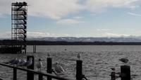 Aussichtsturm im Hafen von Friedrichshafen