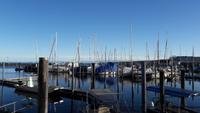 Yachthafen in Konstanz 