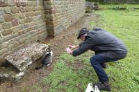 Silvesterreise Florenz 2017 Fiesole (3)