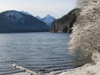 Alpsee 