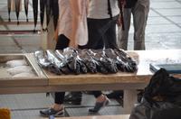 Degenfisch in der Mercado dos Lavradores