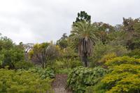 Botanischer Garten Monte