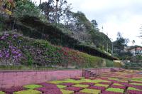 Botanischer Garten Monte