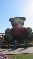 Miracle Garden
