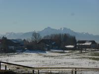 Gut Aiderbichl - Blick zum Untersberg