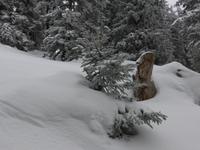 Predigtstuhl - Winterimpressionen