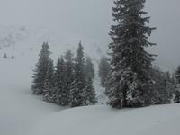 Predigtstuhl - Winterimpressionen