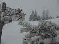 Predigtstuhl - Winterimpressionen