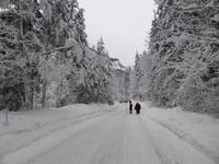 Kaiserbachtal - Winterimpressionen im Kaisergebirge