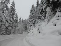 Kaiserbachtal - Winterimpressionen im Kaisergebirge